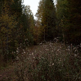 IMG 1685