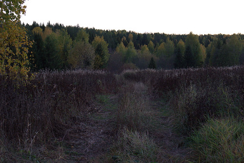 IMG 1635.jpg