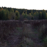 IMG 1635