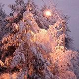 IMG 20221209 1