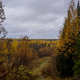 AGCD 20221005 8