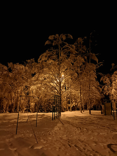 IMG 20221215 7 LMC82.jpg