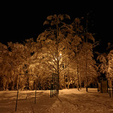 IMG 20221215 7 LMC82