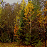 IMG 20221002 1