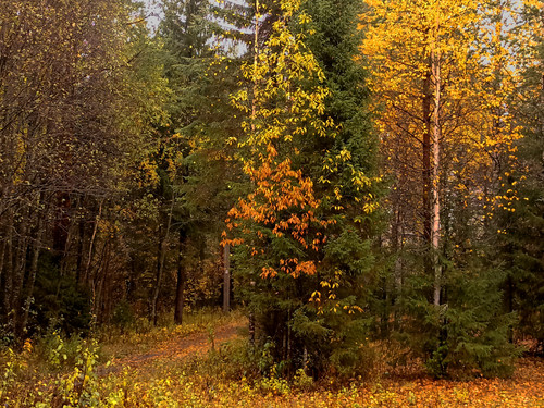 IMG 20221002 7.jpg