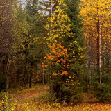 IMG 20221002 7