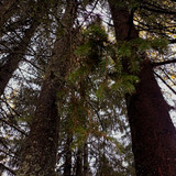 IMG 20221002 6