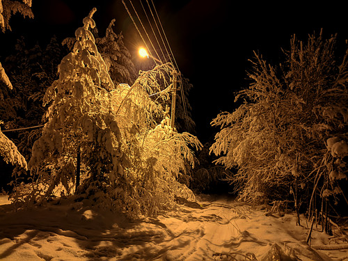 IMG 20221215 5 LMC82.NIGHT.jpg