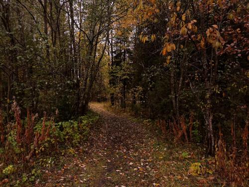 IMG 20221002 2.jpg
