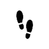 fprintsN