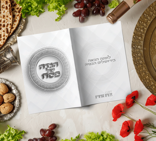 דגם סילבר.png