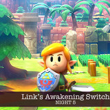 Link's Awakening Switch, Night 5