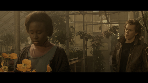 Flatliners.1990.UHD.BluRay.REMUX.2160p.HEVC.DTS HD.MA5.1 HDS.mkv 20221208 075237.207.png