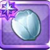 019 evo rena