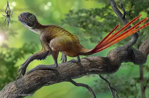 Epidexipteryx.webp