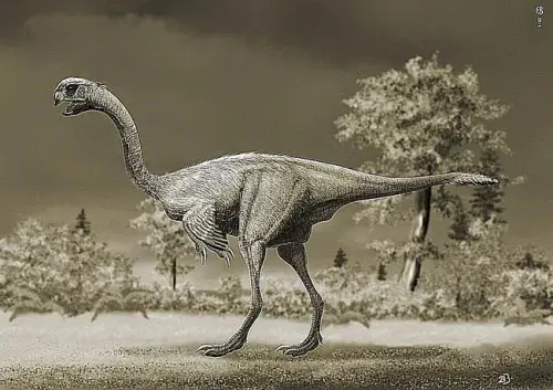 Gigantoraptor.webp