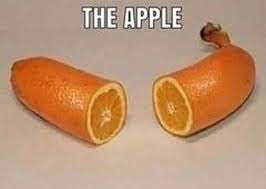 The Orange Apple Banana.jpg