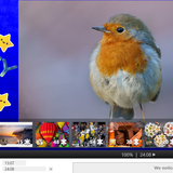 Bi Weekly Puzzler December 14th