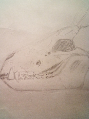 IMG 20221208 194716 556.jpg