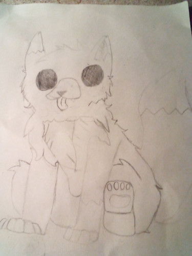 IMG 20221208 194738 995.jpg