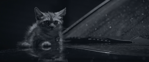 Limbo.2021.BluRay.Pad.1080p.AAC.2Audio.x265 10bit HDSPad.mp4 20221209 125142.357.png