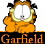 garfield