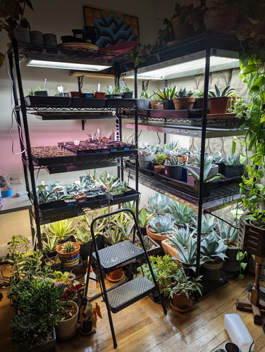 60AD21AD 5C23 4F08 9EF3 81945B17849C