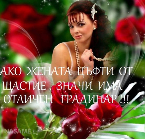 e1a86f8536865507646221c79a85d6766a6de162.jpg