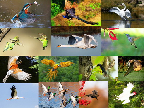 'Glorified is The Mighty Creator'.jpg