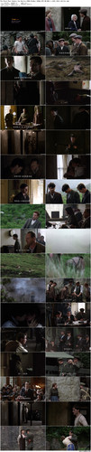 The.Wind.That.Shakes.the.Barley.2006.BluRay.1080p.DTS HD.MA5.1.x265.10bit BeiTai preview.jpg