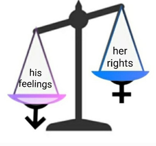 his feelings her rights.jpg