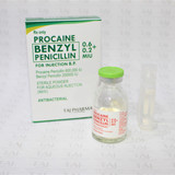 Procaine penicillin 600000 IU and Benzyl Penicillin 200000 IU Injection Wholesalers India