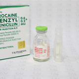 Procaine penicillin 600000 IU and Benzyl Penicillin 200000 IU Injection Manufacturer Exporter Suppli