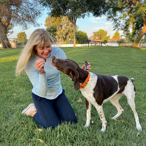 CBD Pet Oil 250 Mg.jpg