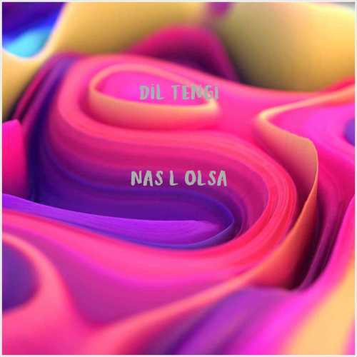دانلود آهنگ جدید Dil Tengi به نام Nasıl Olsa