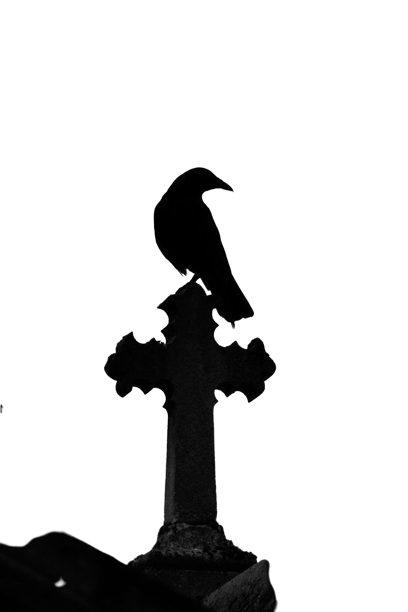 6fe923d9db5d0ce1f4880194c80cc131 removebg preview.png