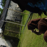 DSC5040