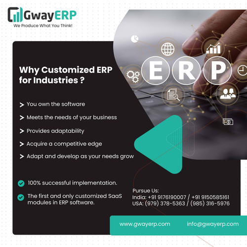 Customized ERP 01.jpg