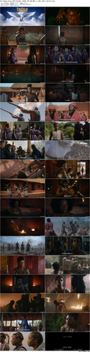 The.Woman.King.2022.BluRay.1080p.DTS HD.MA5.1.x265.10bit BeiTai preview.jpg