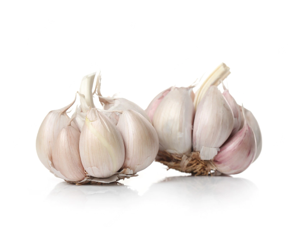Bawang Putih