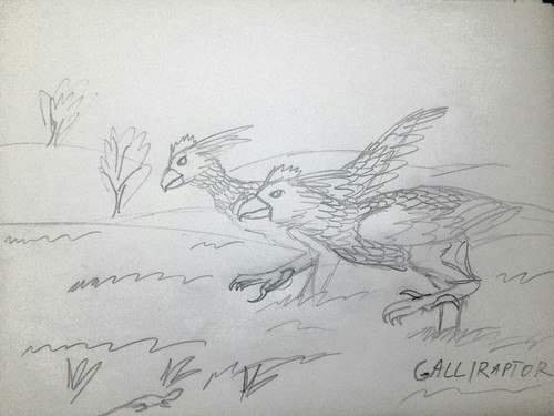 Galliraptor.jpg
