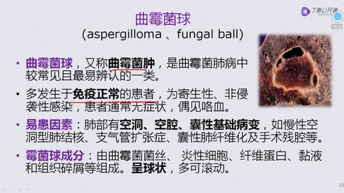 vlcsnap 2022 12 12 22h08m39s090.png