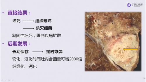 vlcsnap 2022 12 12 22h07m23s905.png