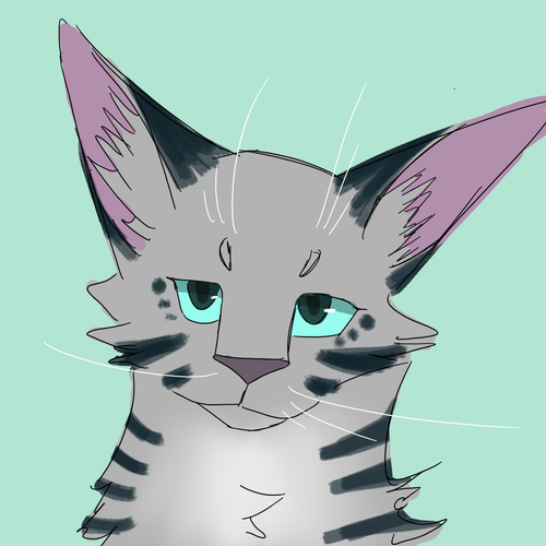 silv.png