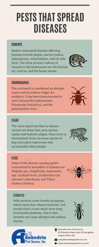 Pest that Spread Diseases.jpg