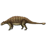 dino01