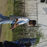  DSC4950