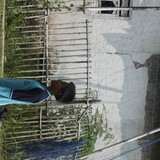  DSC4995