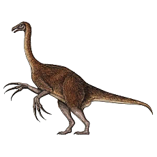 dino10.png