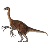 dino10